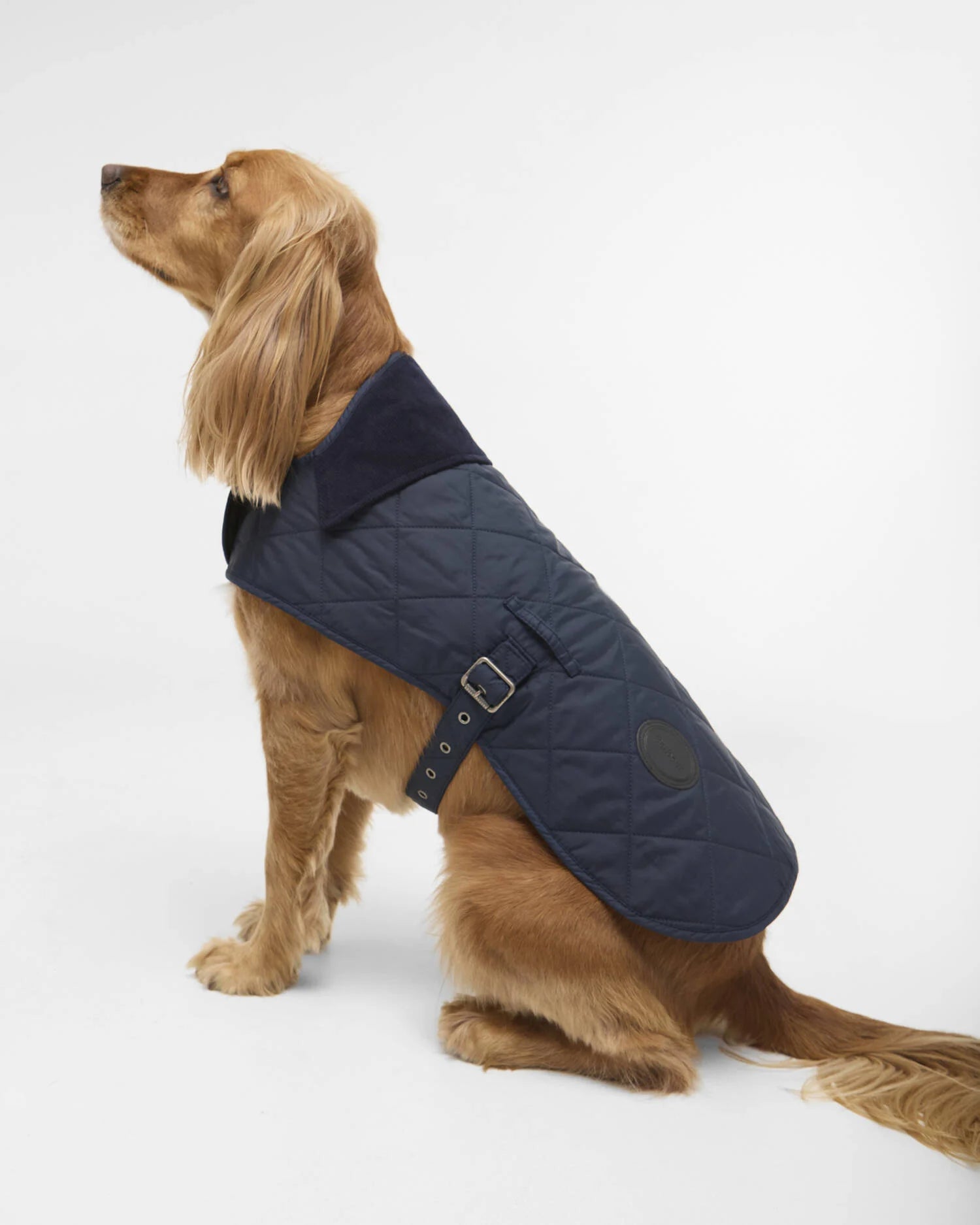 Quilted Dog Coat