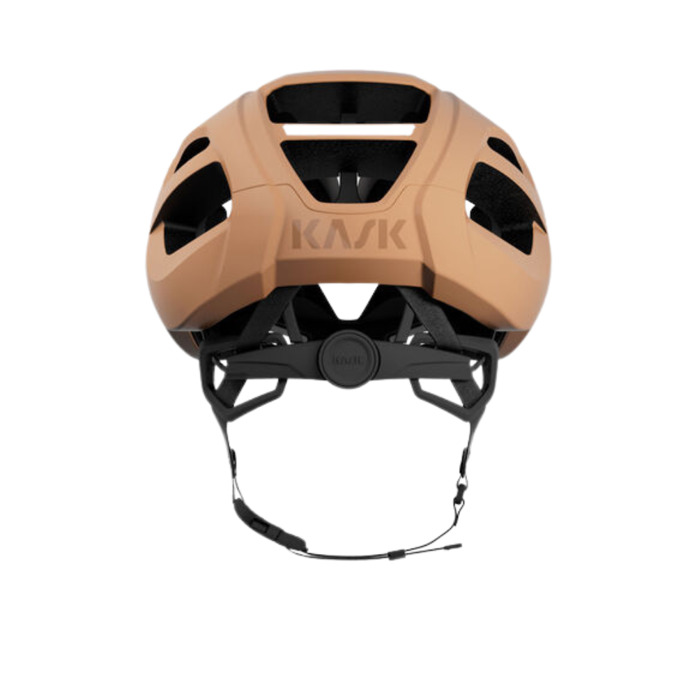 Protone Icon