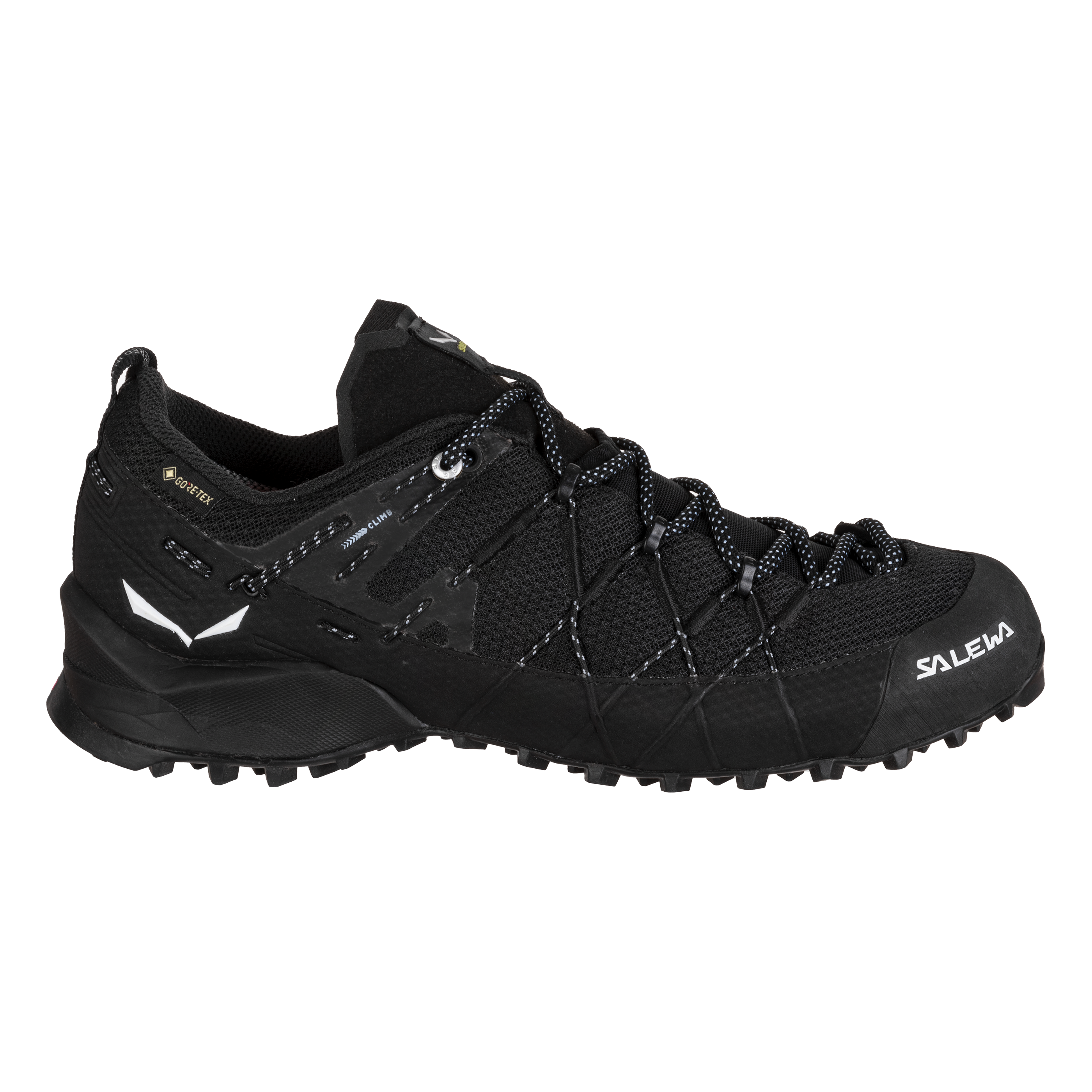 Wildfire 2 Gore-Tex Shoes Wmn