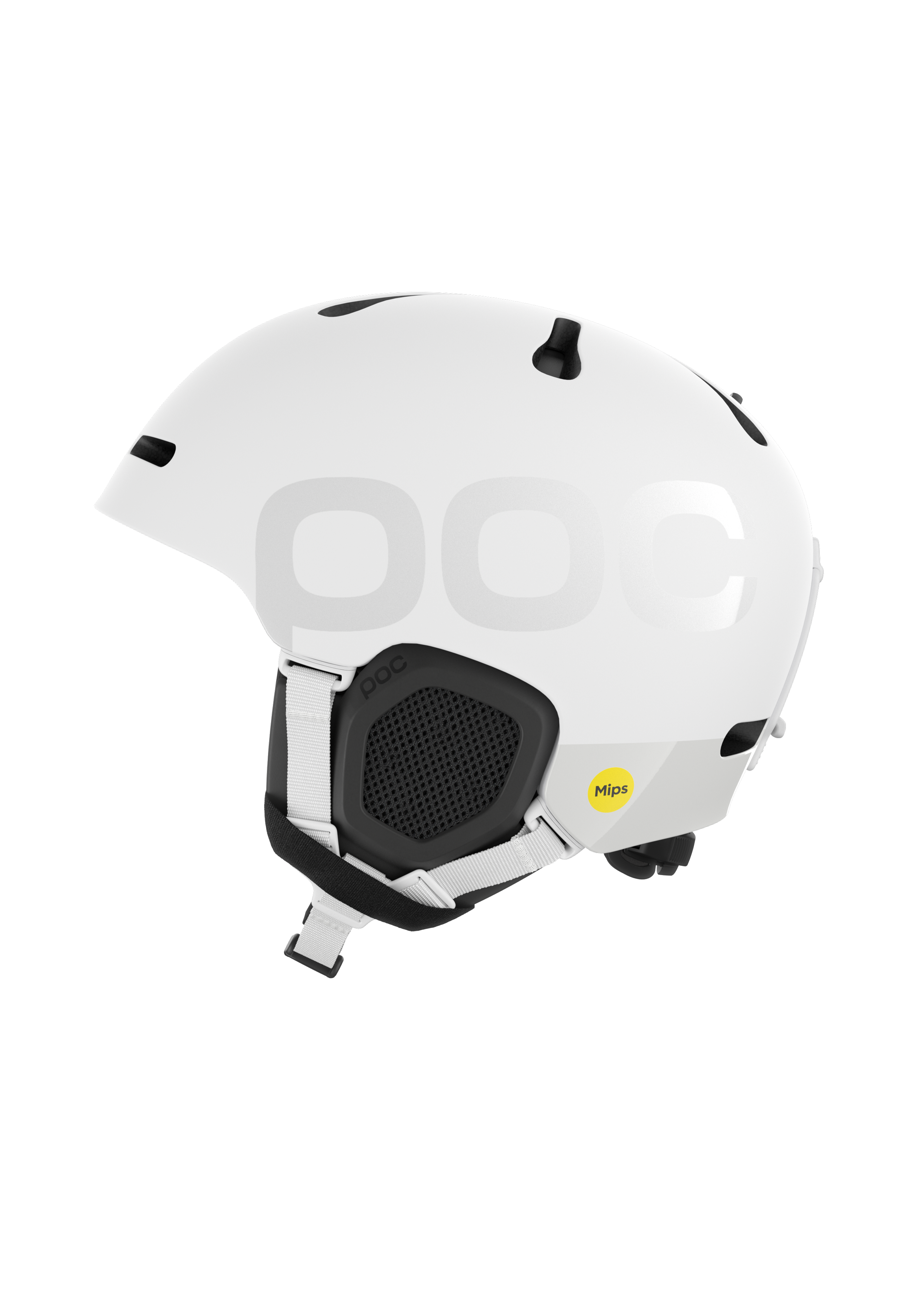 Fornix BC