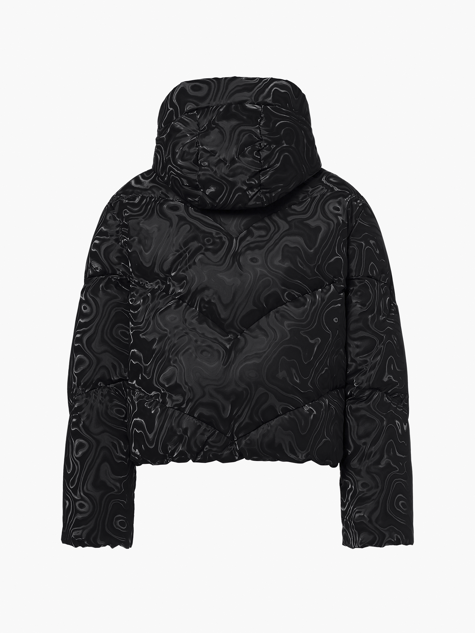 Aeliana Ski Jacket Wmn