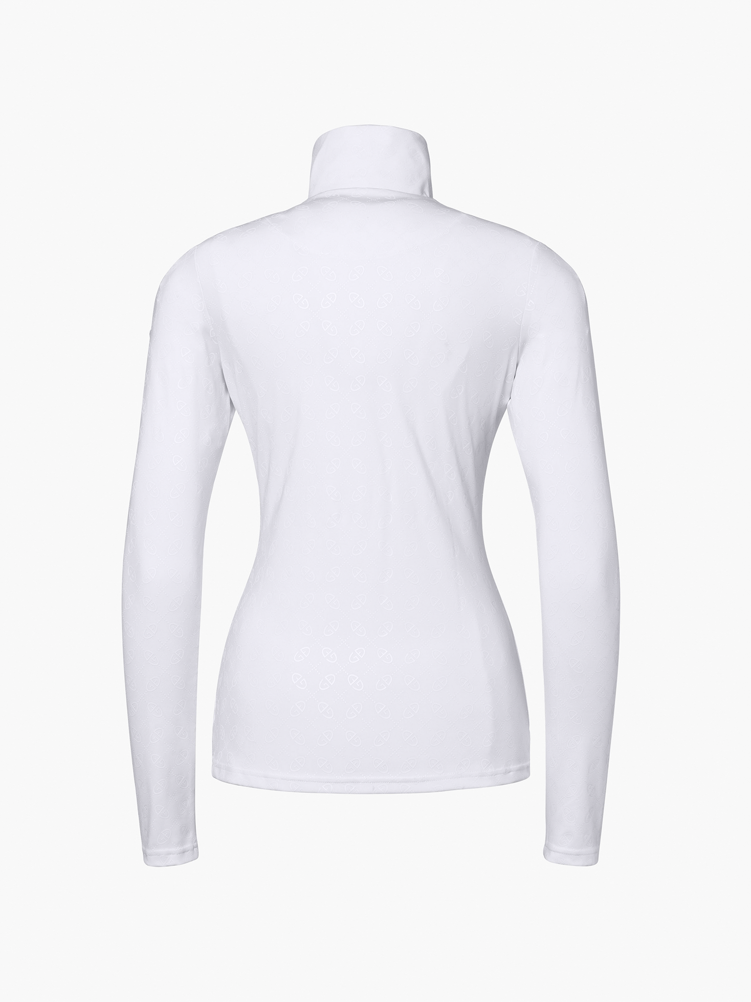 Icon Ski Pully W