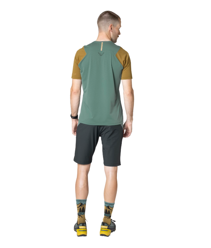 Transalper Light Dynastretch Shorts Man