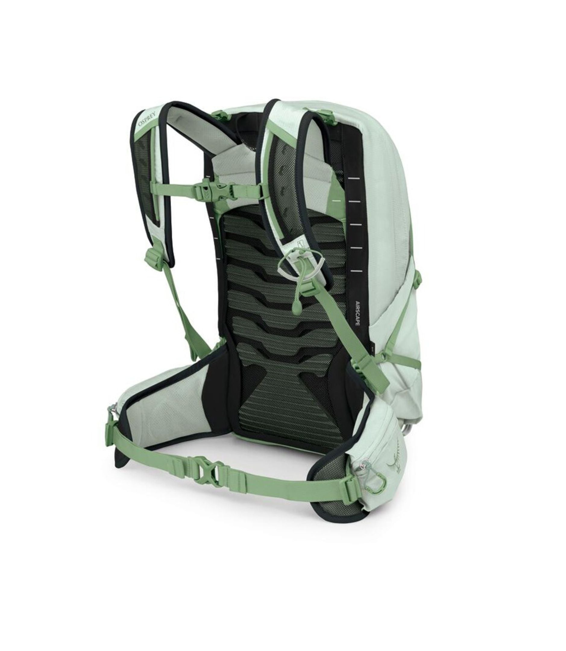 Tempest 11 Backpack