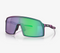 Sutro - TLD Purple Green Shift
