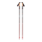 Pursuit FLZ Trekking Poles