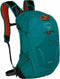 Sylva 12